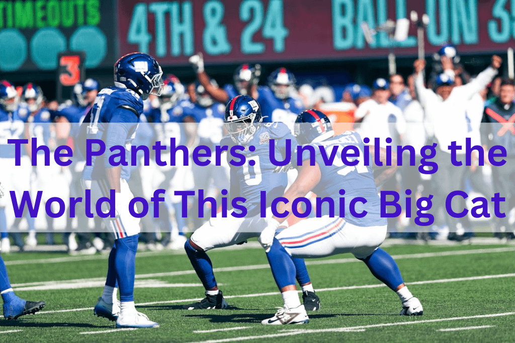 The Panthers: Unveiling the World of This Iconic Big Cat